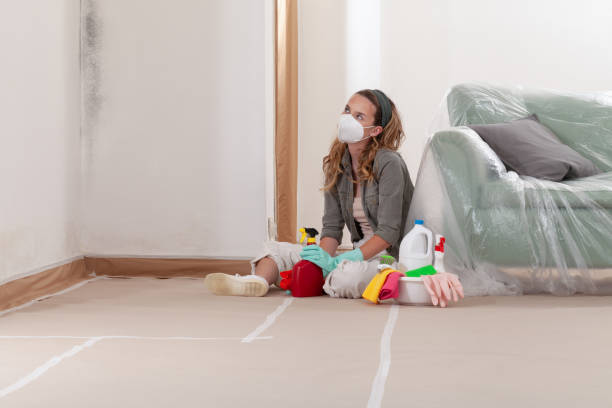 Reliable Mold Removal contractor in Oldsmar, FL by WQB Mold Removal